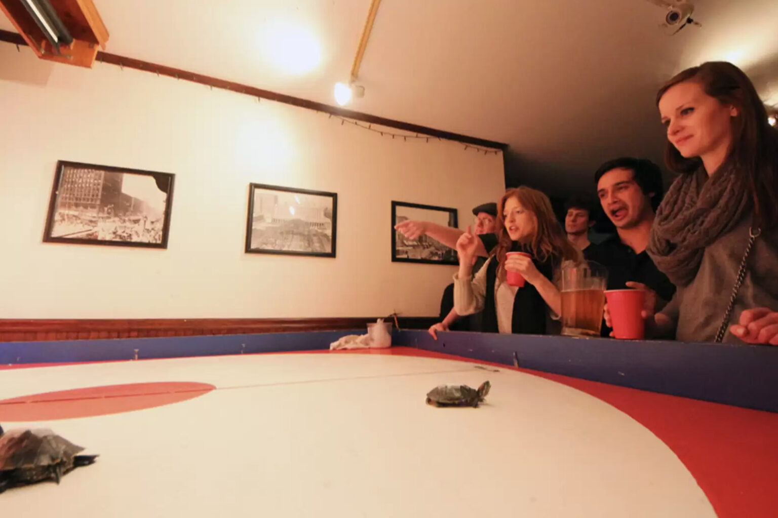 Turtle Race’s - Big Joe's Turtle Race's