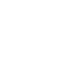 Home - Big Joe's Turtle Race's
